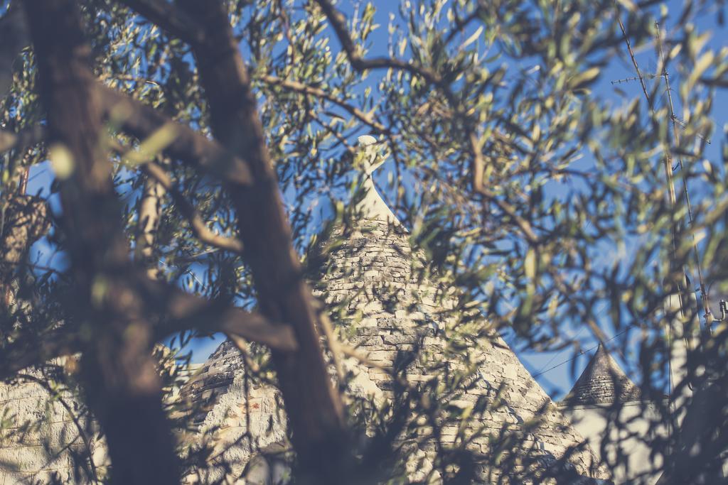فيلا Residenze Nei Trulli ألبيروبيللو المظهر الخارجي الصورة